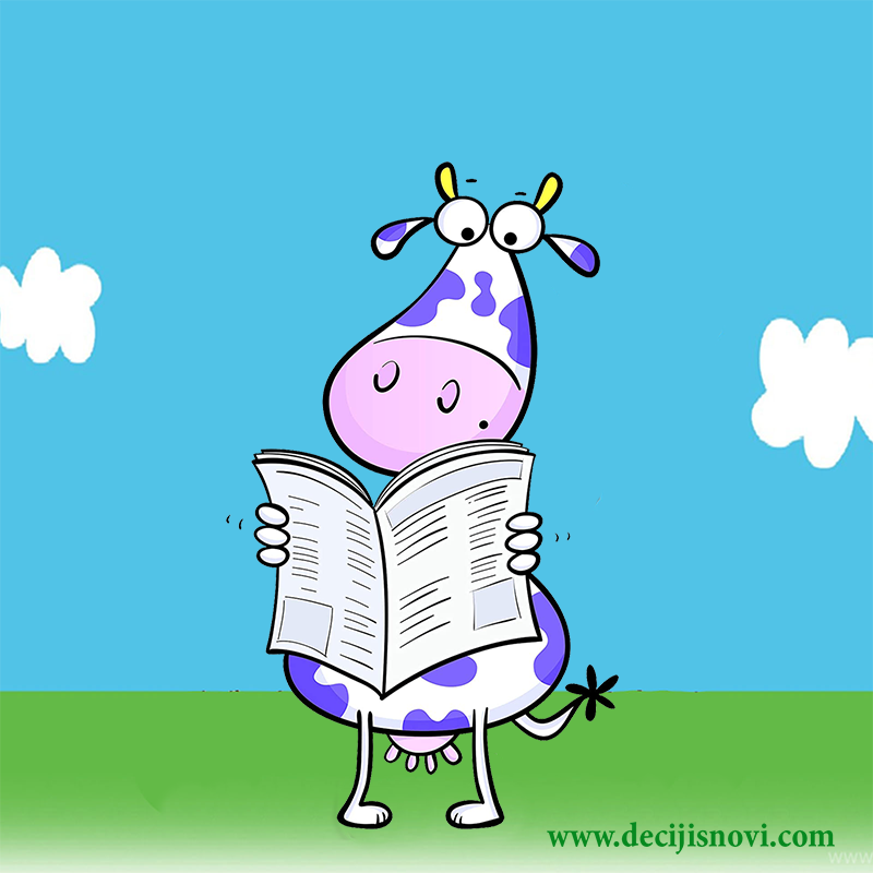 Pesmica - Krava čita novine
